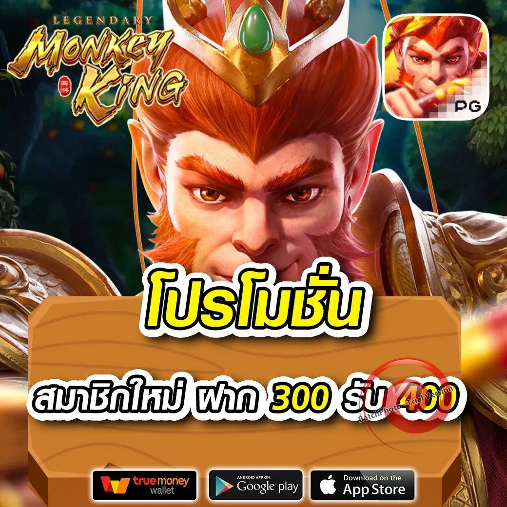 สบาย 999 เข้า สู่ ระบบ สมาชิก